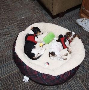 Meet your Posher, Terry